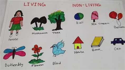 How to draw living and non.
